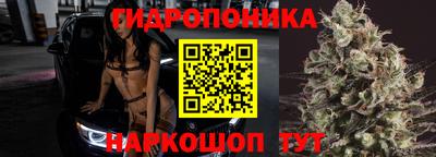 PSILOCYBIN Славгород