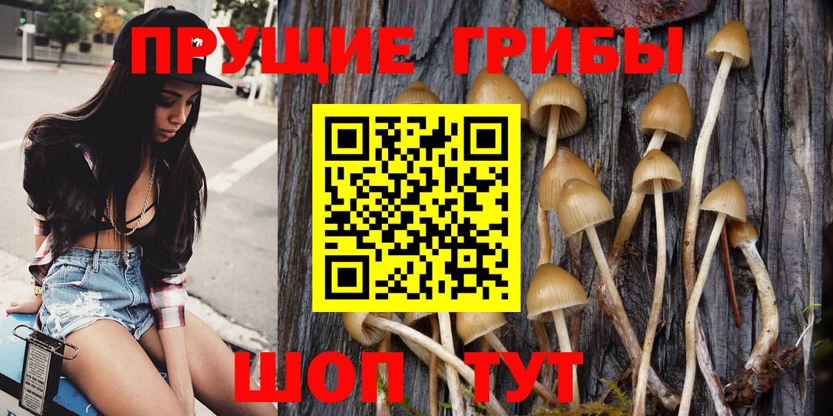 Псилоцибиновые грибы Magic Shrooms  Галлюциногенные грибы прущие грибы  Вход с VPN  Петрозаводск 