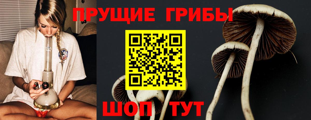 Галлюциногенные грибы мухоморы Петрозаводск